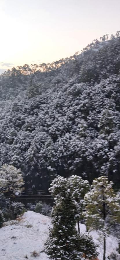 Solitude Inn Bnb Shimla Exteriör bild