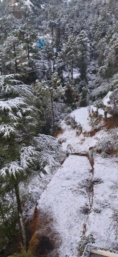 Solitude Inn Bnb Shimla Exteriör bild